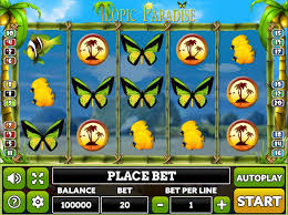 Insect Paradise